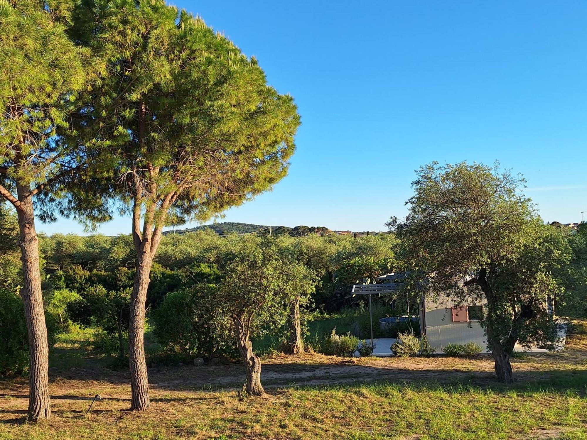 Casale Valverde Alghero Exterior foto